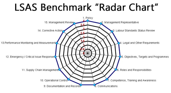 LSAS-MIP- Labour Standards